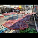 Dünne Rindfleischscheiben trocknen in der Sonne